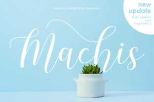Machis: The Modern Calligraphy Font for Bold Campaigns