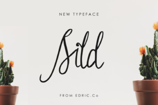 Sild Font Review: Elegant Script for Branding Projects