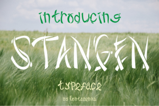 Stangen Font Review: A Striking Typeface for Editorial Design