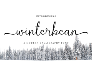 Winterbean Font: Elevate Your Campaign Visuals